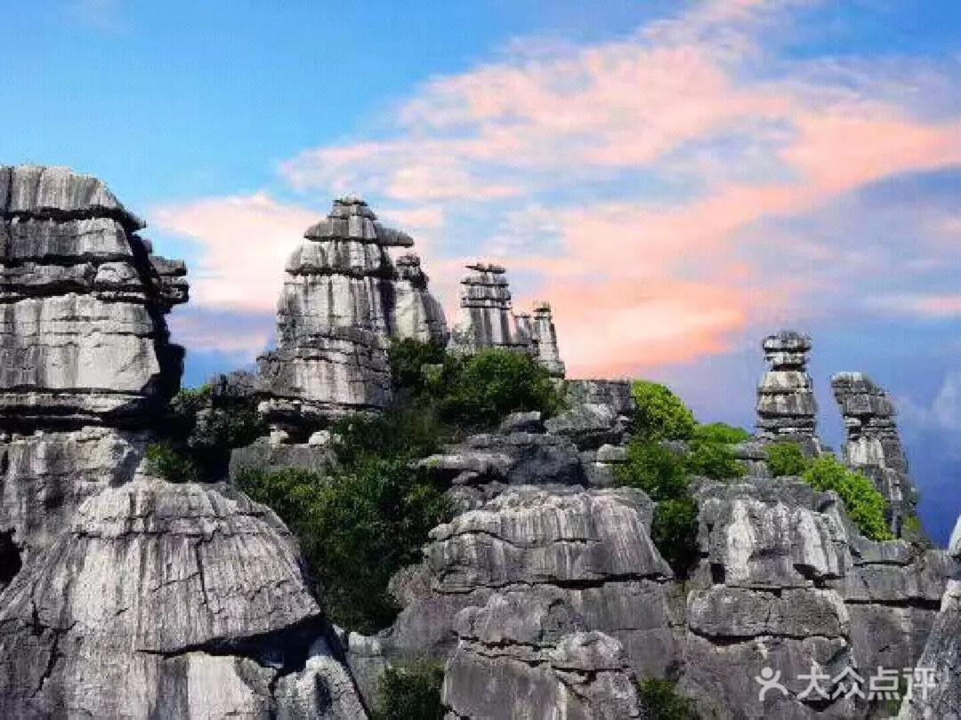 Stone Forest Mijia Guest House Shilin ภายนอก รูปภาพ