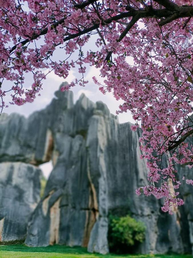 Stone Forest Mijia Guest House Shilin ภายนอก รูปภาพ